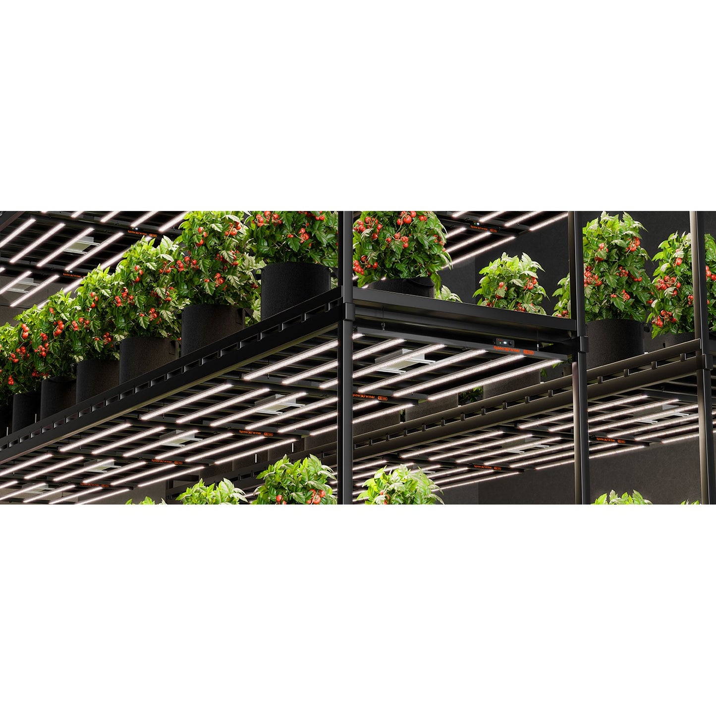 Spider Farmer SE7000 730W Dimmable Full Spectrum LED Grow Light product image 6