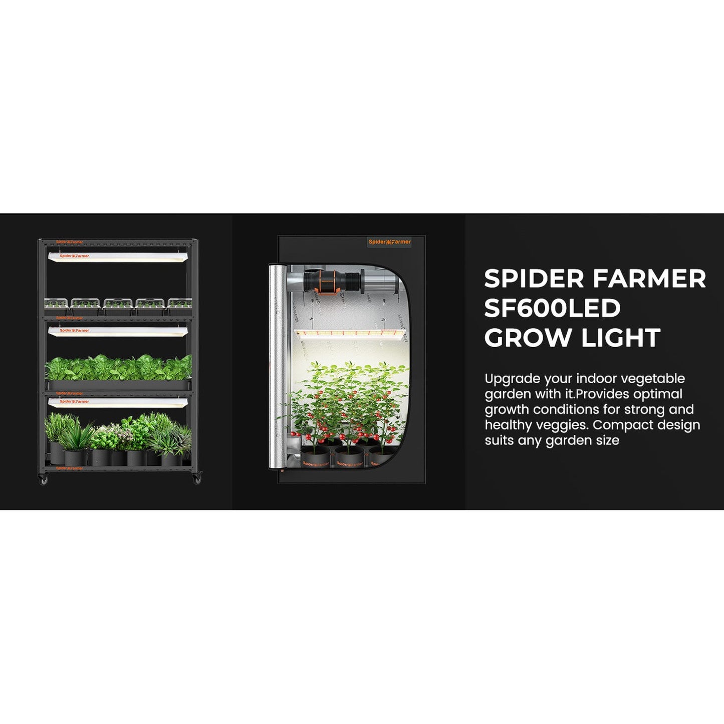 Spider Farmer SF600 74W LED Veg Grow Light product image 3