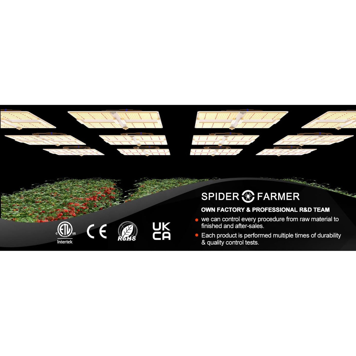 Spider Farmer SF7000 650W Dimmable Full Spectrum LED Grow Light product image 16