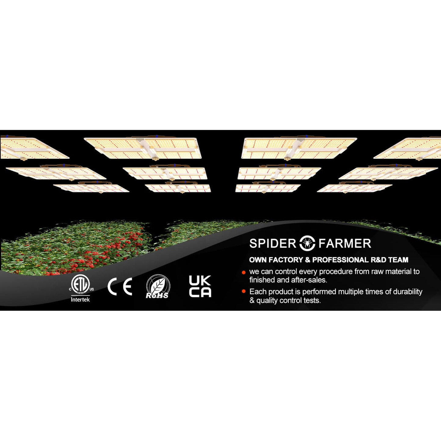 Spider Farmer SF7000 650W Dimmable Full Spectrum LED Grow Light product image 23