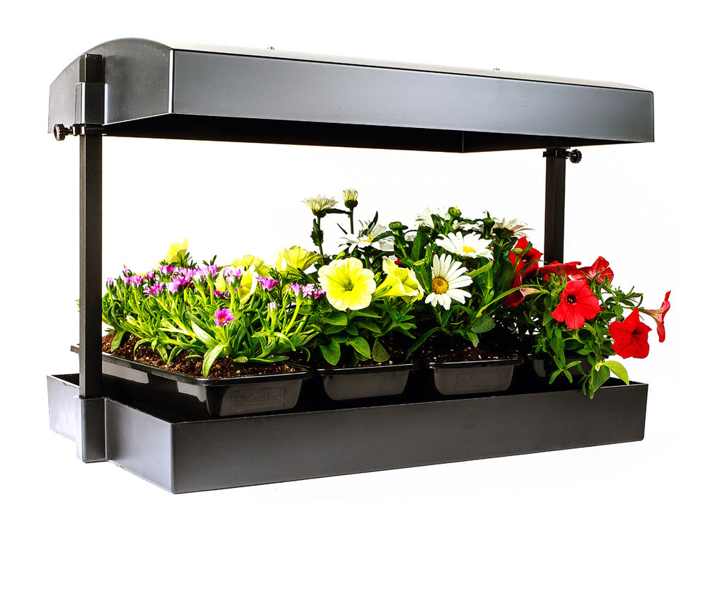 Sunblaster LED Grow Light Garden Black product image 1