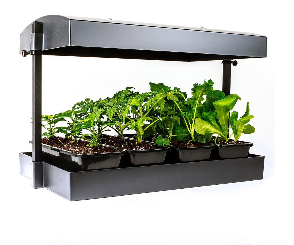 Sunblaster LED Grow Light Garden Black product image 3