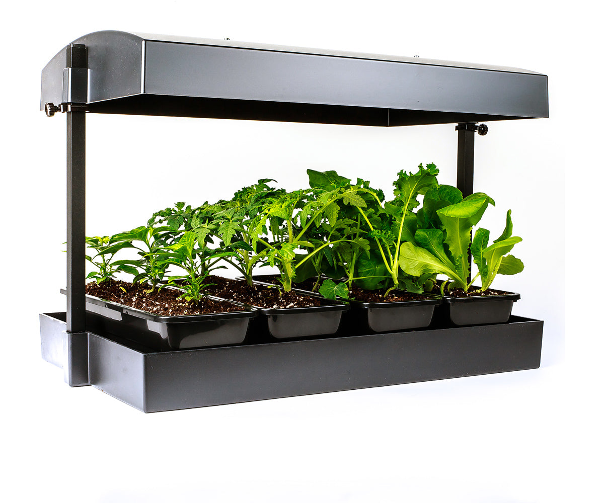 Sunblaster LED Grow Light Garden Black product image 3