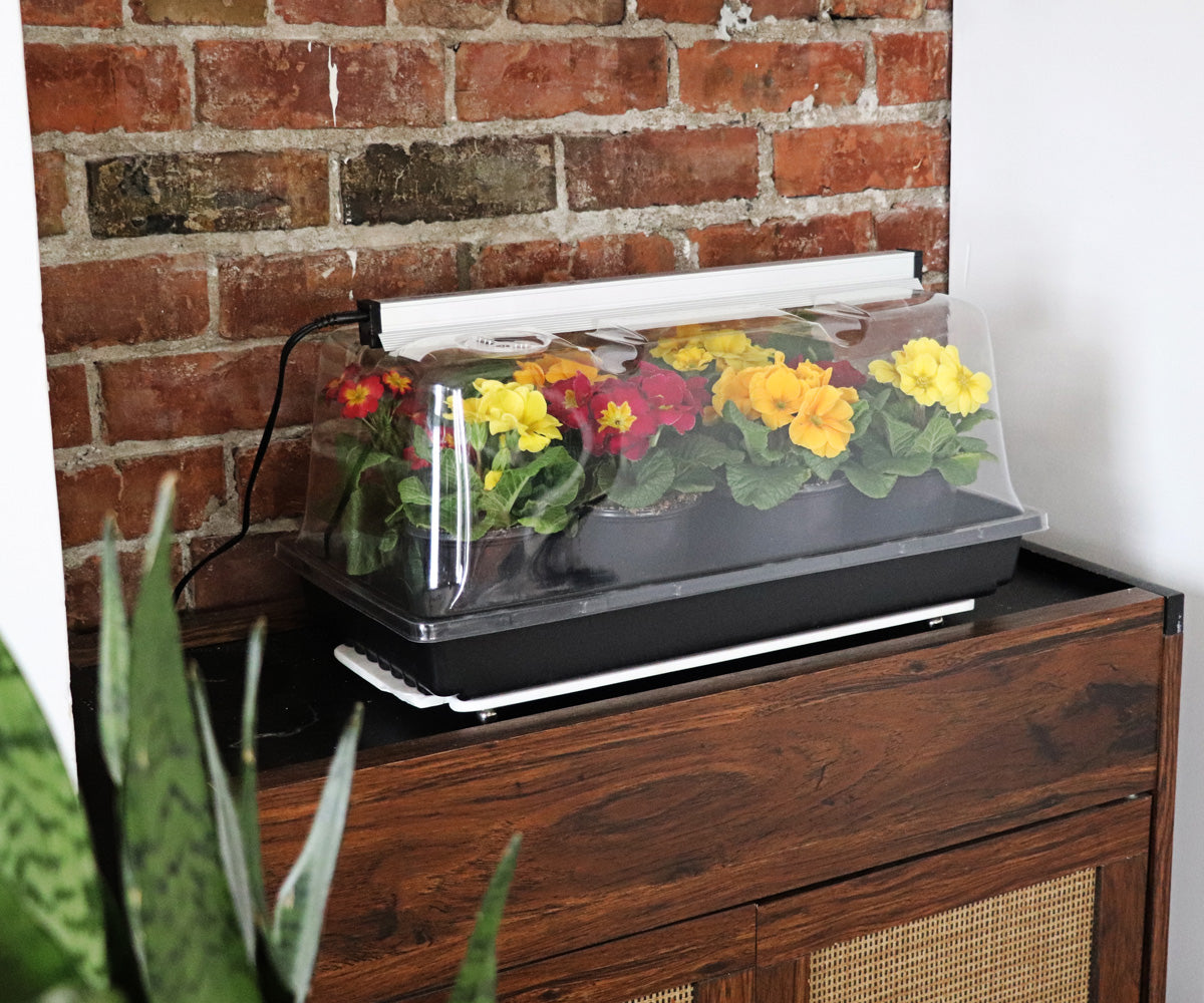 Sunblaster LED Mini Greenhouse Kit product image 2