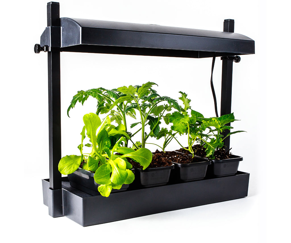 SunBlaster Micro LED Grow Light Garden Black product image 1