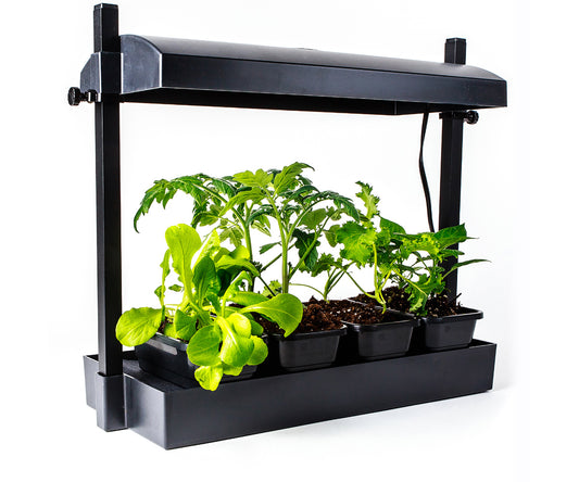 SunBlaster Micro LED Grow Light Garden Black product image 1
