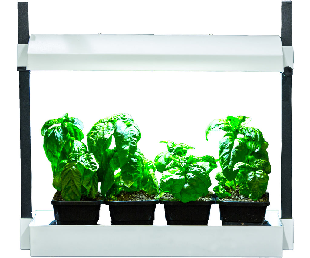 Sunblaster Micro LED Grow Light Garden White product image 5