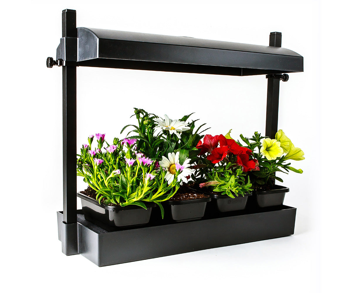 Sunblaster Micro T5 Grow Light Garden Black product image 1