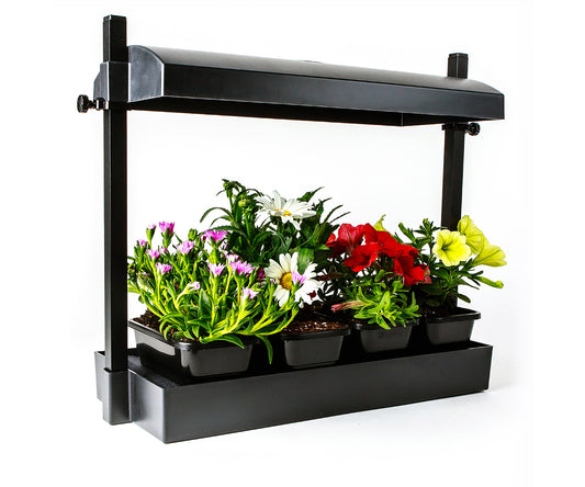 Sunblaster Micro T5 Grow Light Garden Black product image 1