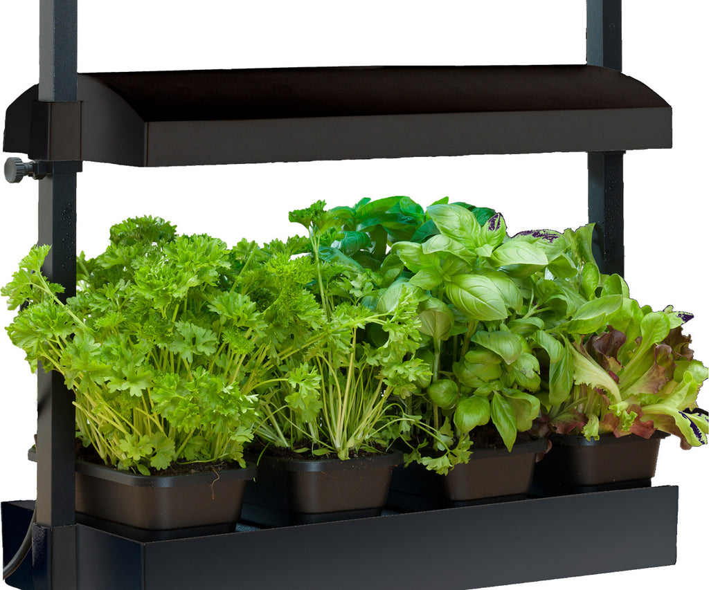 Sunblaster Micro T5 Grow Light Garden Black product image 2