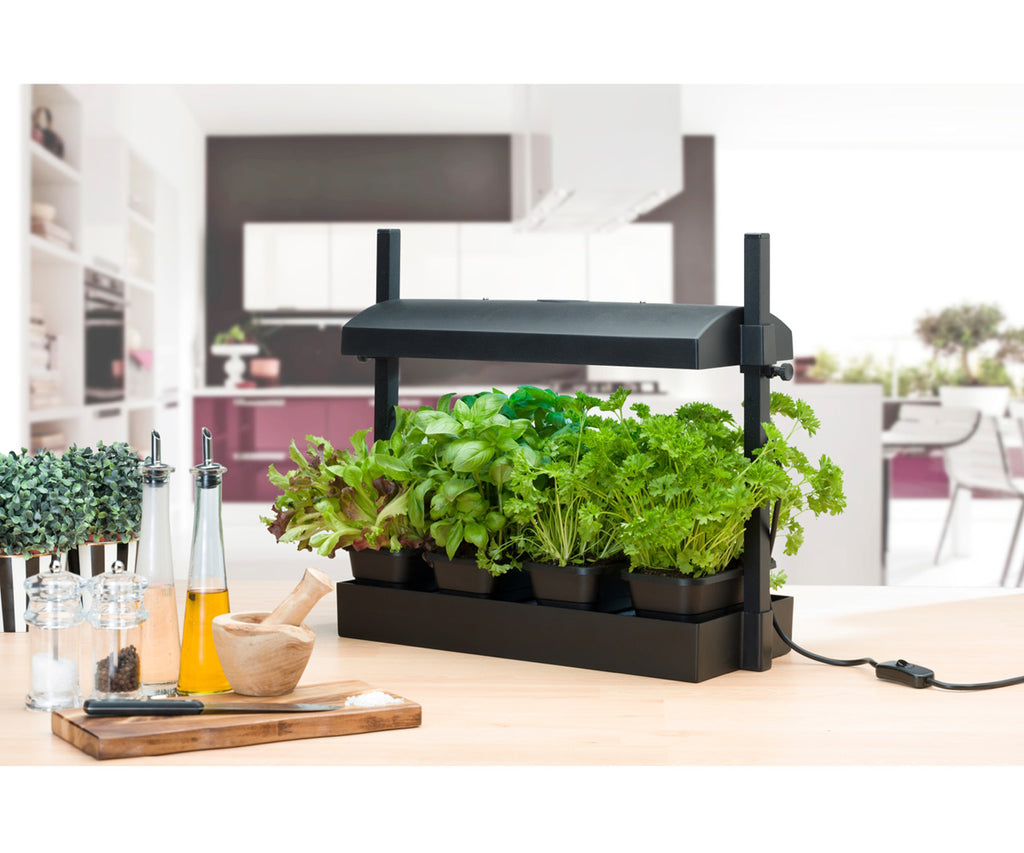 Sunblaster Micro T5 Grow Light Garden Black product image 3