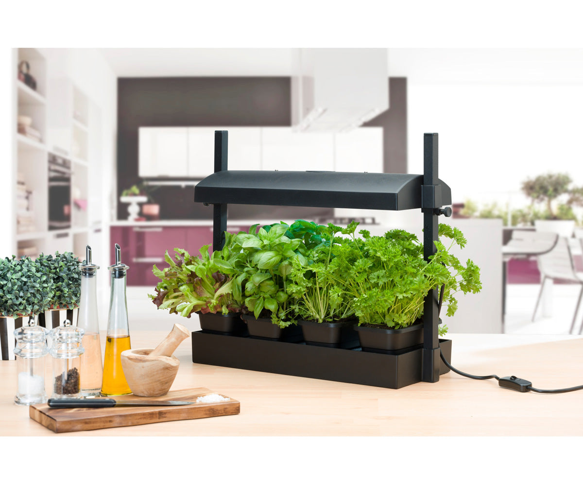 Sunblaster Micro T5 Grow Light Garden Black product image 3