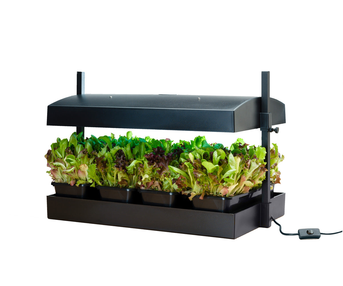 Sunblaster T5 Grow Light Garden Black product image 2