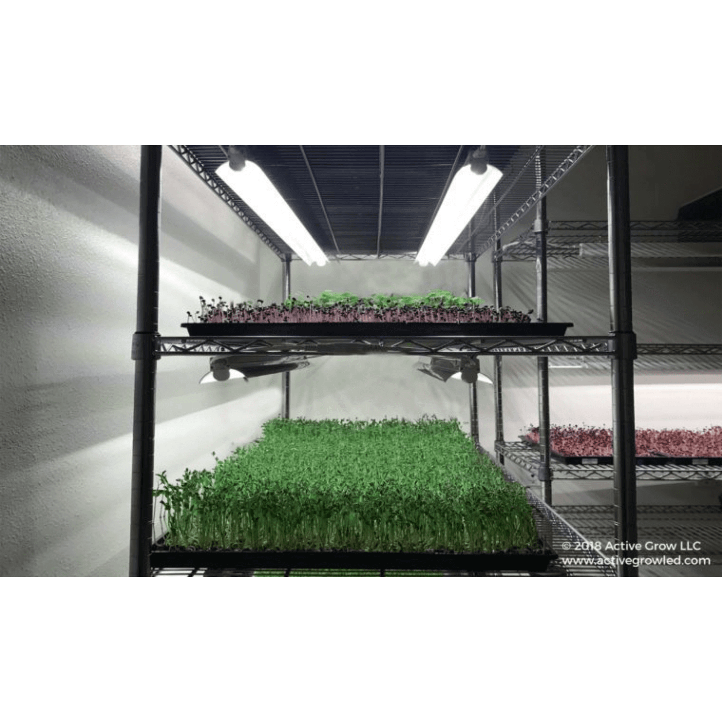 Active Grow 22W T5 4FT Horticultural Strip Light - Sun White Spectrum | AG/22STRIP/4FT/WS/2 | Grow Tents Depot | Grow Lights | 090952347438