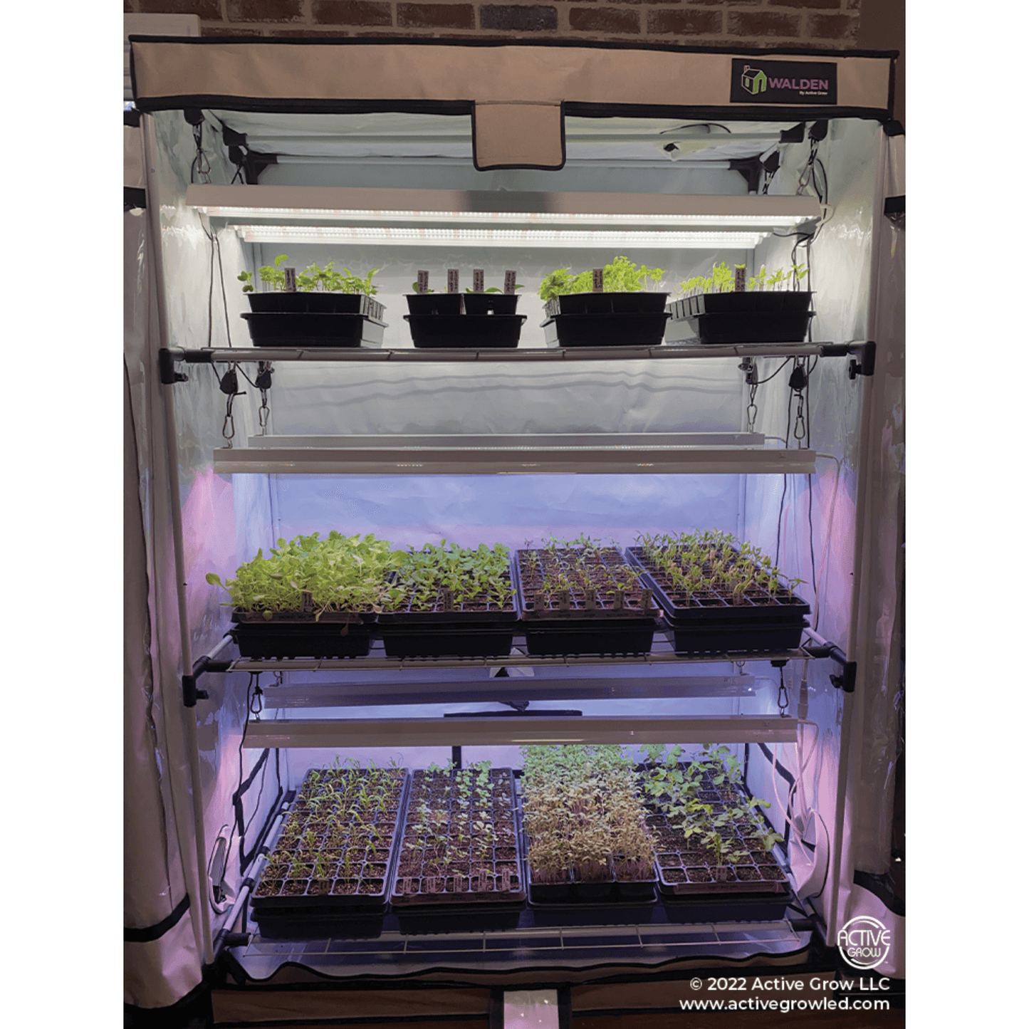 Active Grow Microgreen 2' x 4' 3-Tier LED Walden White Grow Tent Kit | AG/24TENT/W/3S/MK | Grow Tents Depot | Grow Tent Kits | 769947348162