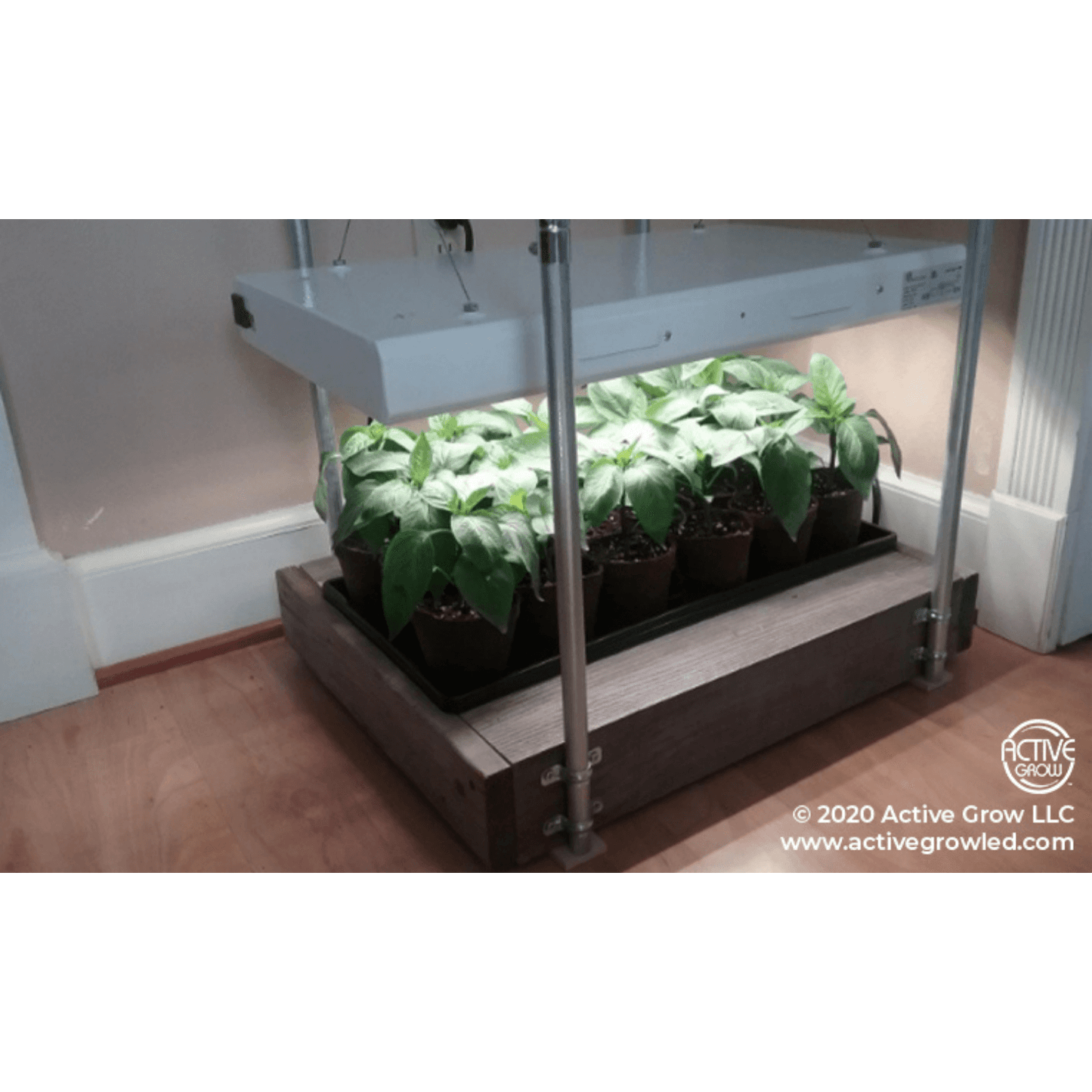 Active Grow T5 HO 2FT 4 Lamp Horticultural Fixture - Sun White Spectrum | AG/T5HO4FIX/2FT/WS | Grow Tents Depot | Grow Lights | 752505498553