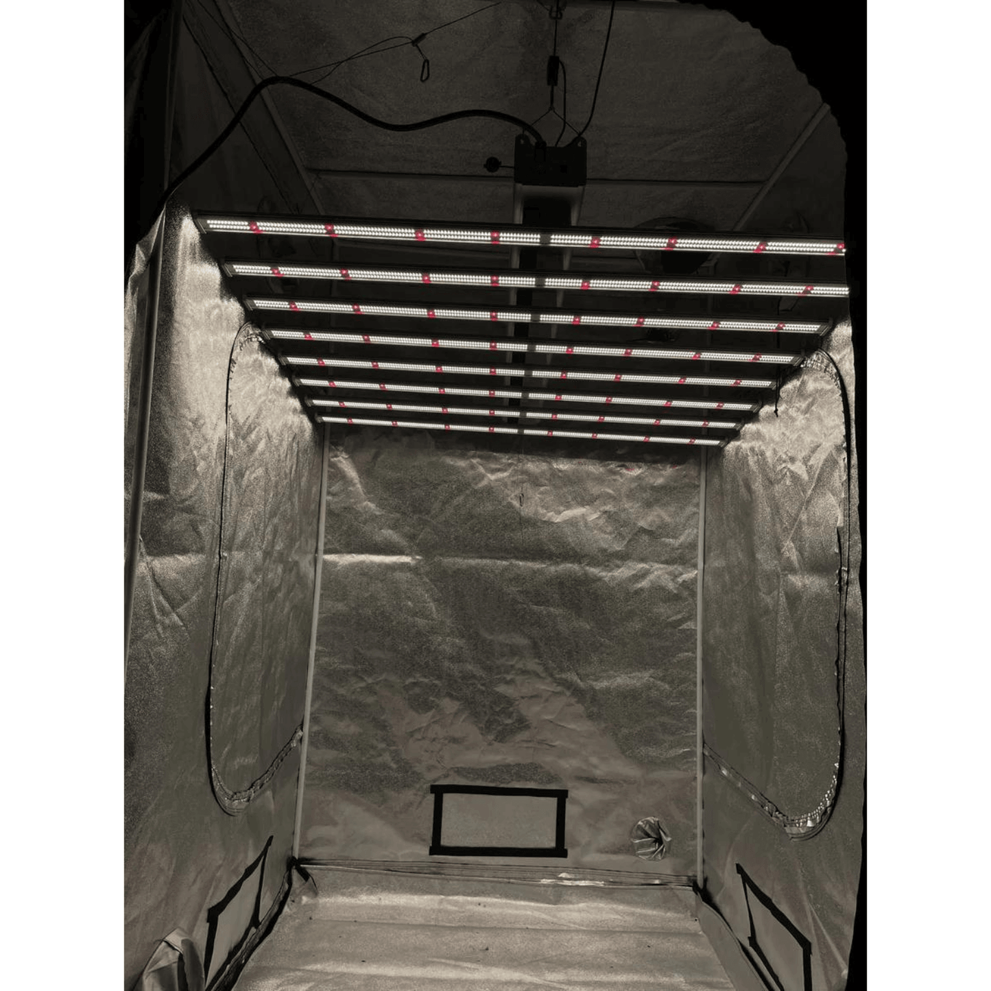 Indoor grow tent with LED light bars for optimal plant growth in a controlled environment.