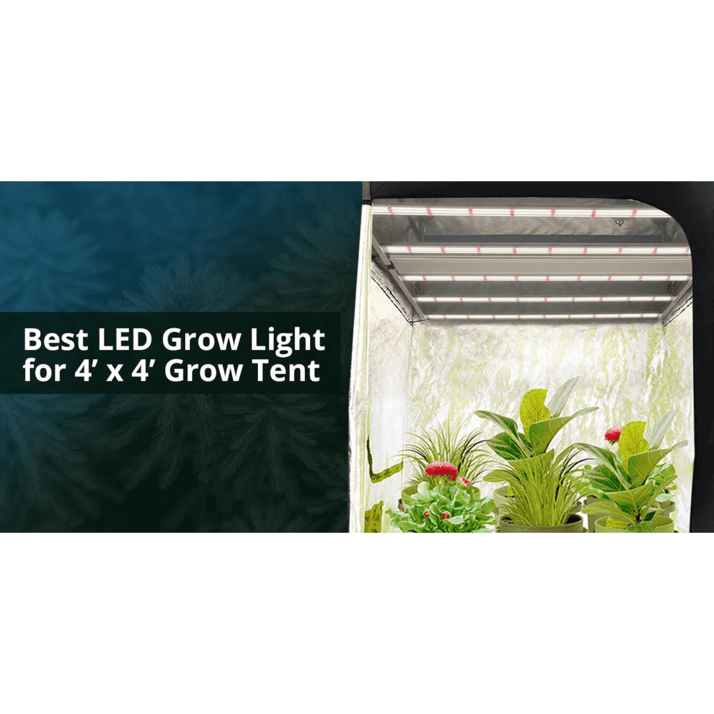 Medic Grow Fold-6 660W Full Spectrum LED Grow Light Fold-6 Grow Lights