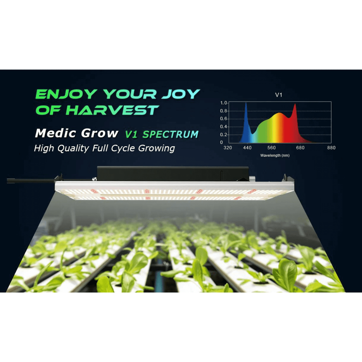 Medic Grow MINI SUN-2 150W Full Cycle LED Grow Light Mini Sun-2 150W Grow Lights
