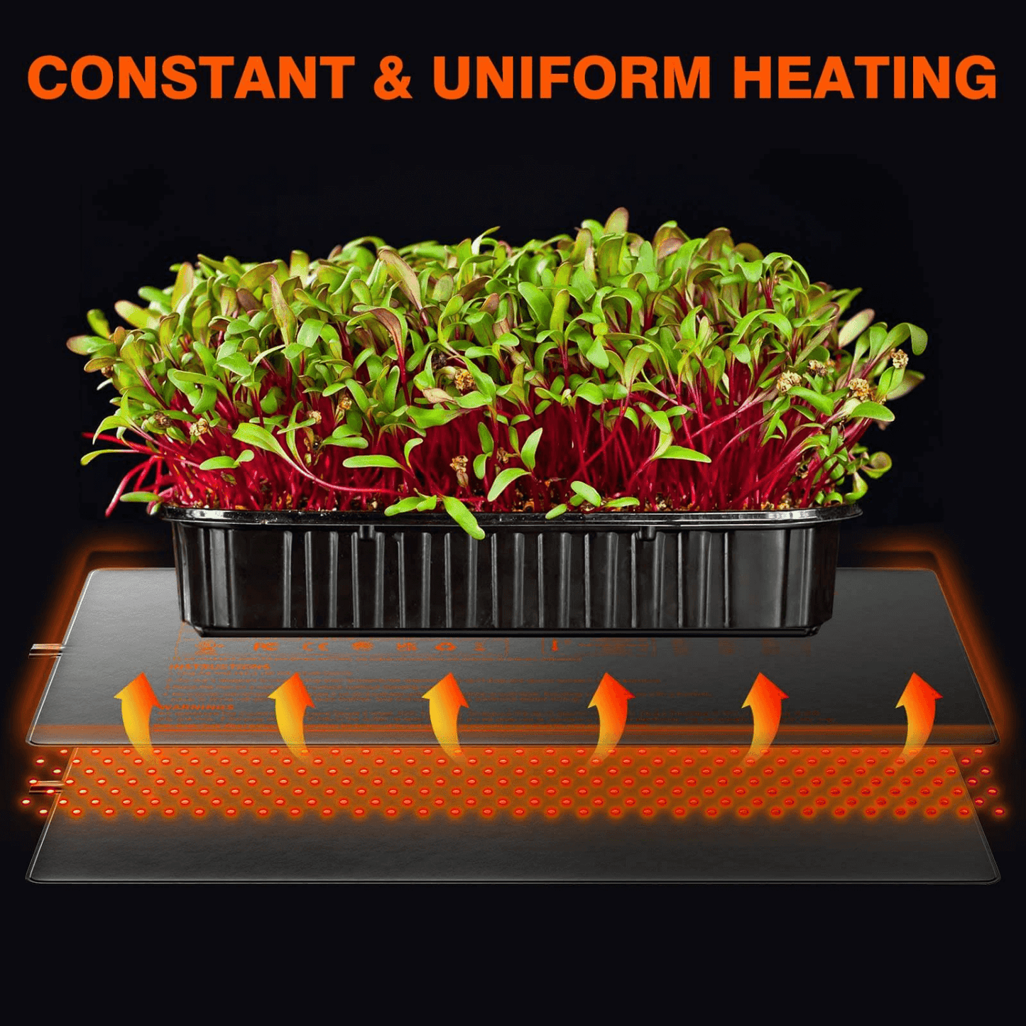 Spider Farmer 48" x 20.75" Seedling Heat Mat and Controller Set | SPIDER-SF-48x20MatKits-C | Grow Tents Depot | Planting & Watering | 6973280378319