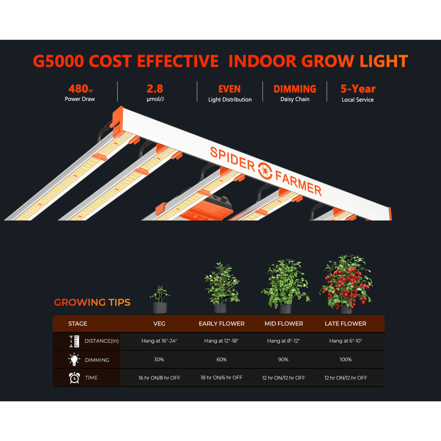 Bad boy 2024 t5 grow light