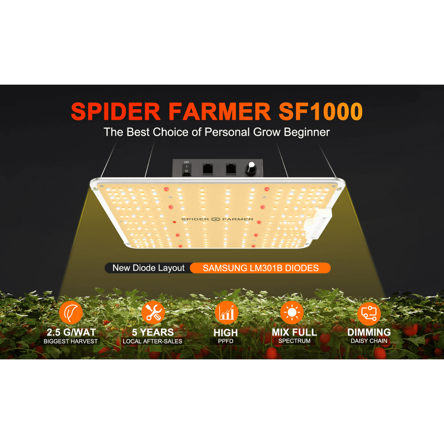 Spider Farmer SF1000 100W Dimmable Full Spectrum LED Grow Light SPIDER-SF-1000 Grow Lights 6973280370009