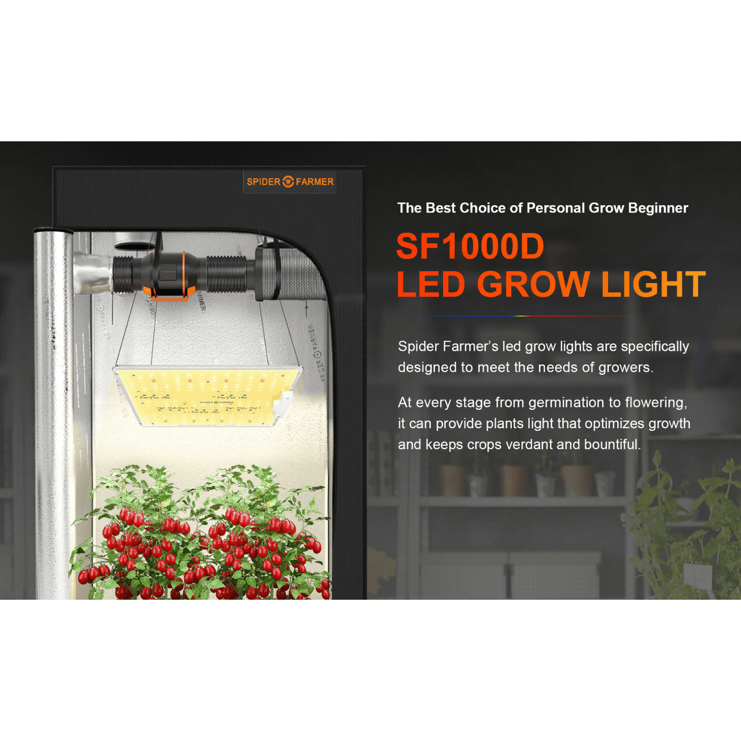 Spider Farmer SF1000D 100W Full Spectrum LED Grow Light SPIDER-SF-1000-D Grow Lights 6973280374908