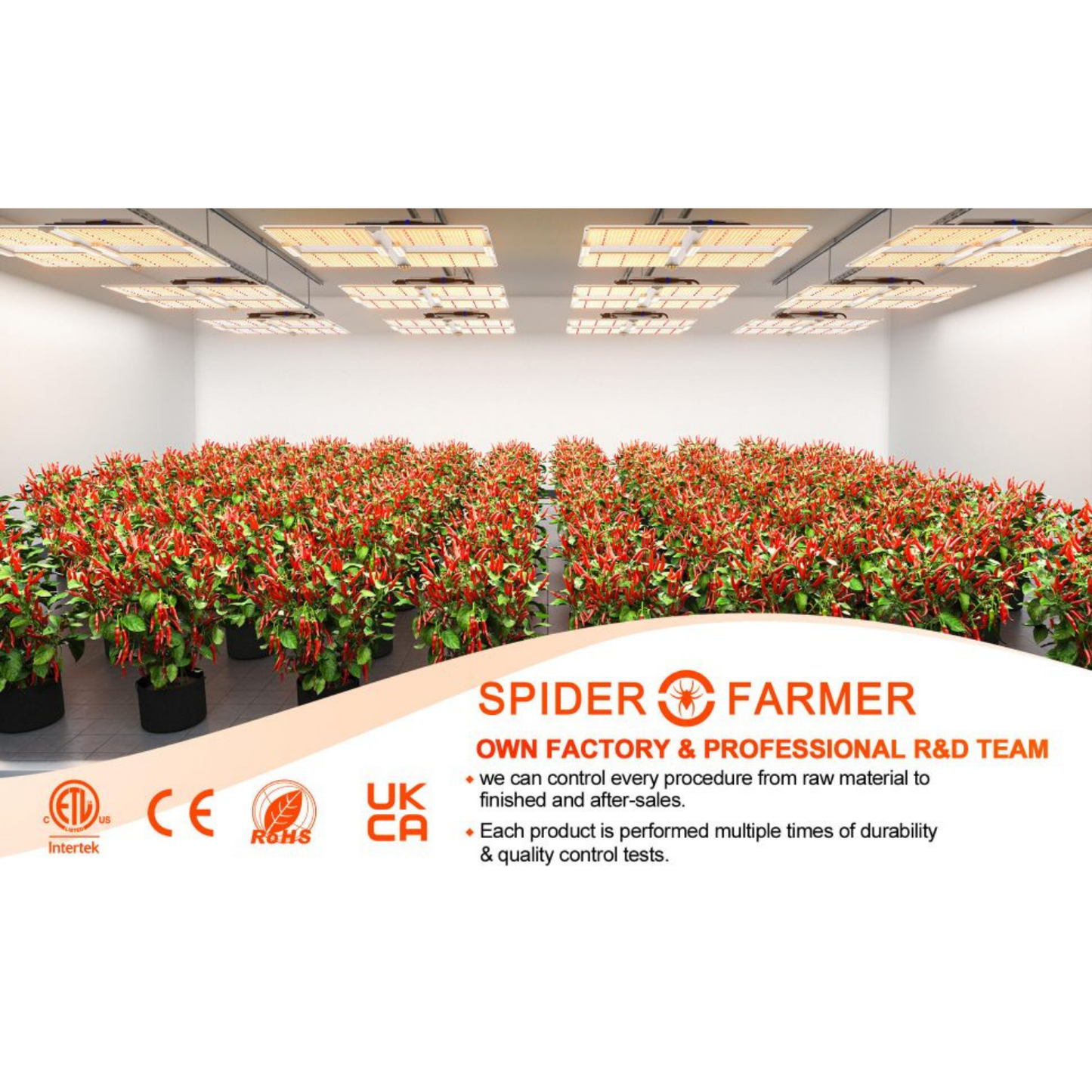 Spider Farmer SF7000 650W Dimmable Full Spectrum LED Grow Light SPIDER-SF-7000 Grow Lights 6973280372720